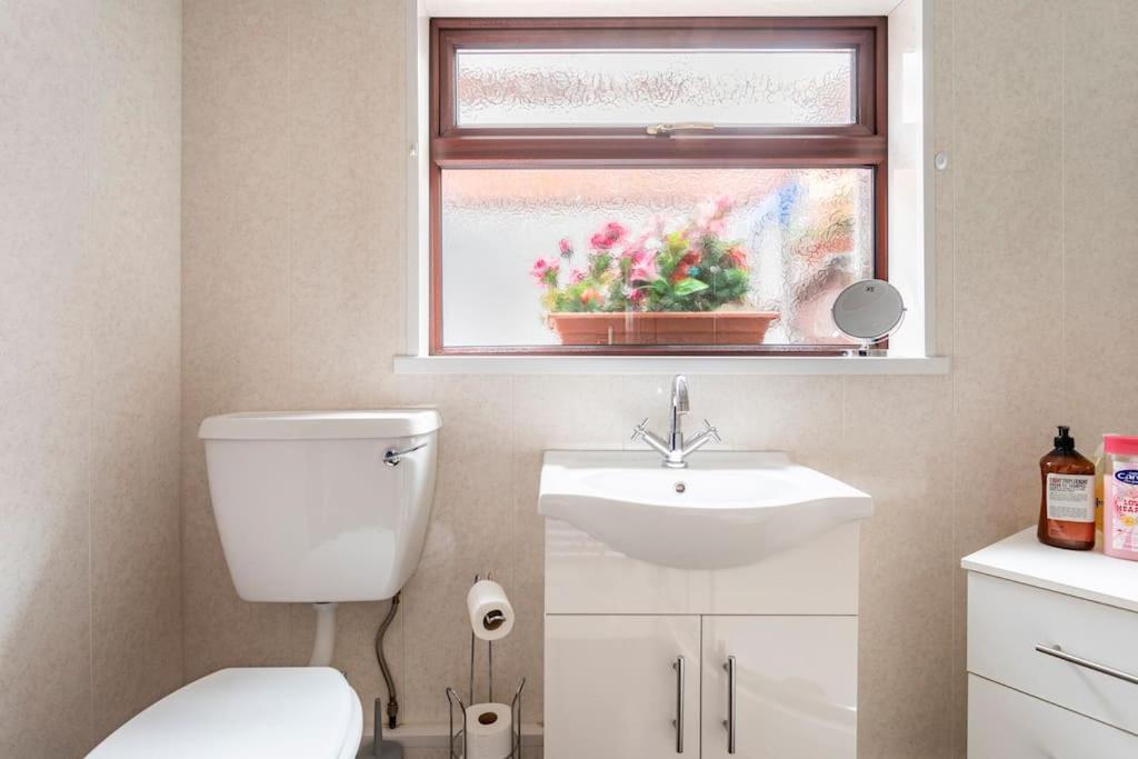 Central Belfast Town House Екстер'єр фото